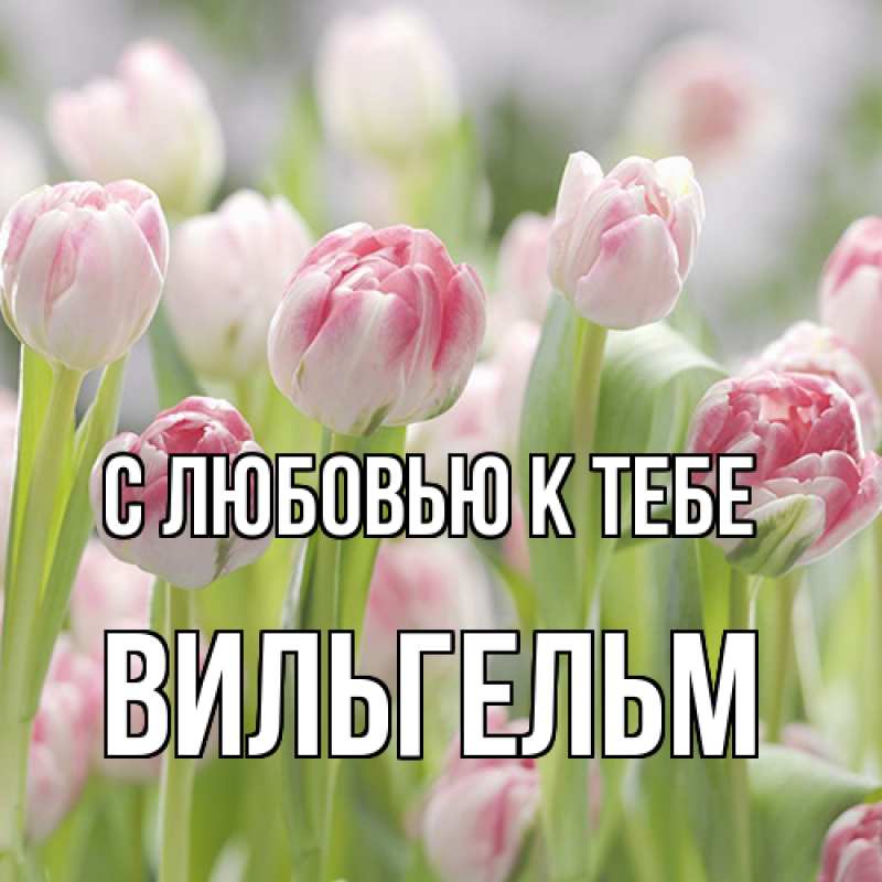 Картинка С любовью к тебе, Вильгельм