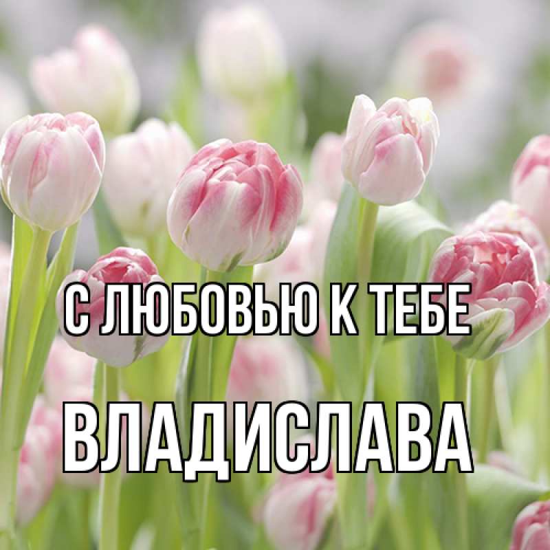 Картинка С любовью к тебе, Владислава