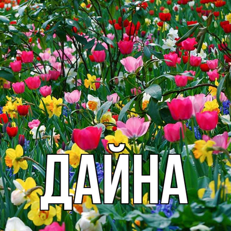 Картинка  с именем , Дайна