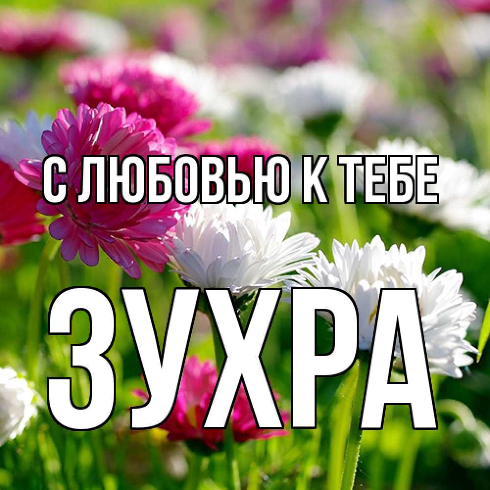 Открытка  с именем. Зухра, С любовью к тебе  