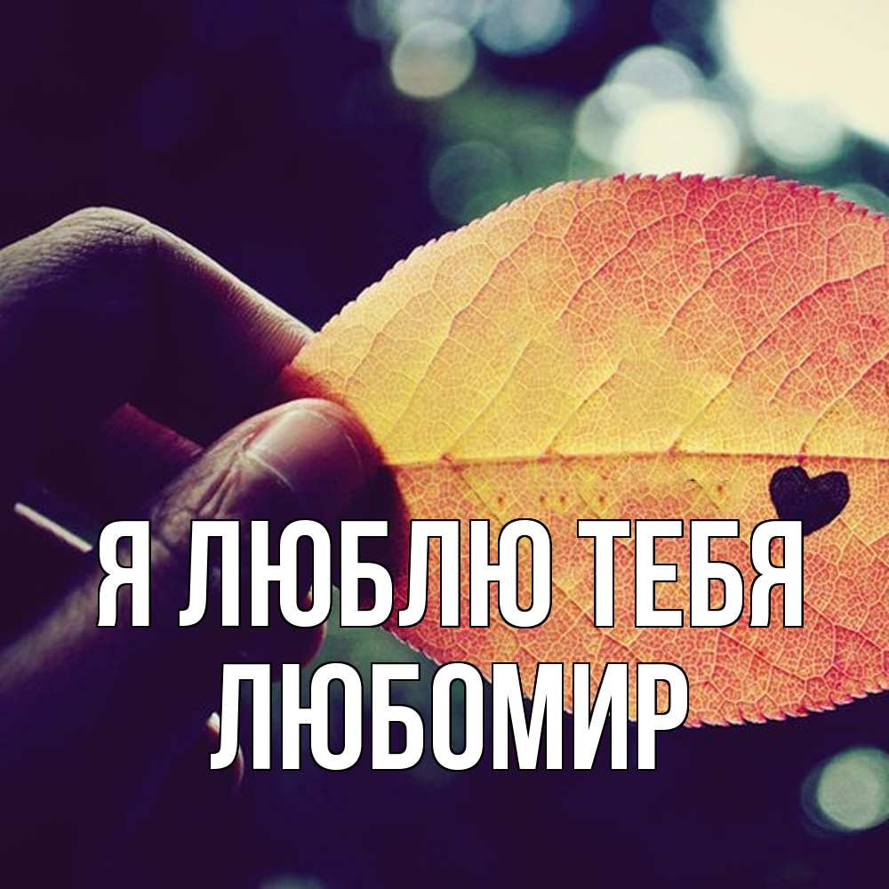 Открытка  с именем. Любомир, Я люблю тебя  