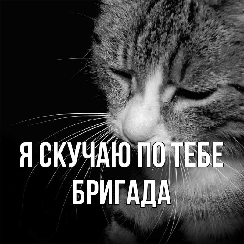 Картинка Я скучаю по тебе, Бригада