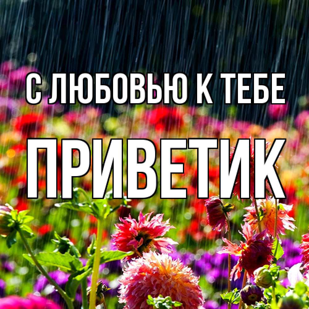 Открытка  с именем. приветик, С любовью к тебе  