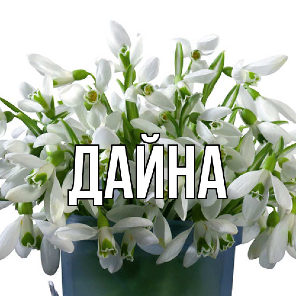 Открытка  с именем. Дайна, Главная  