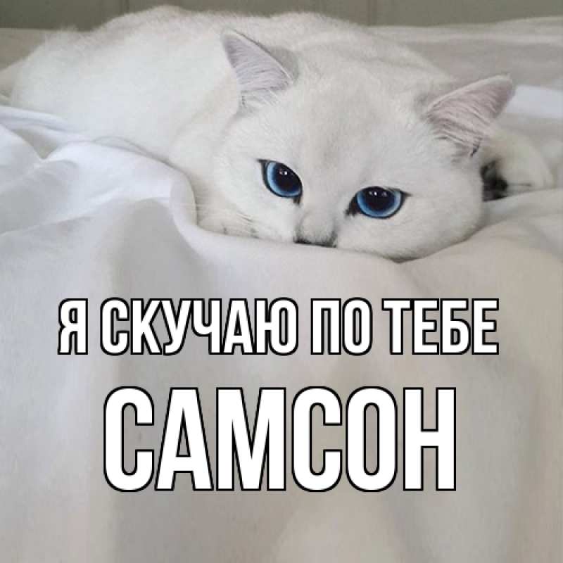 Картинка Я скучаю по тебе, Самсон