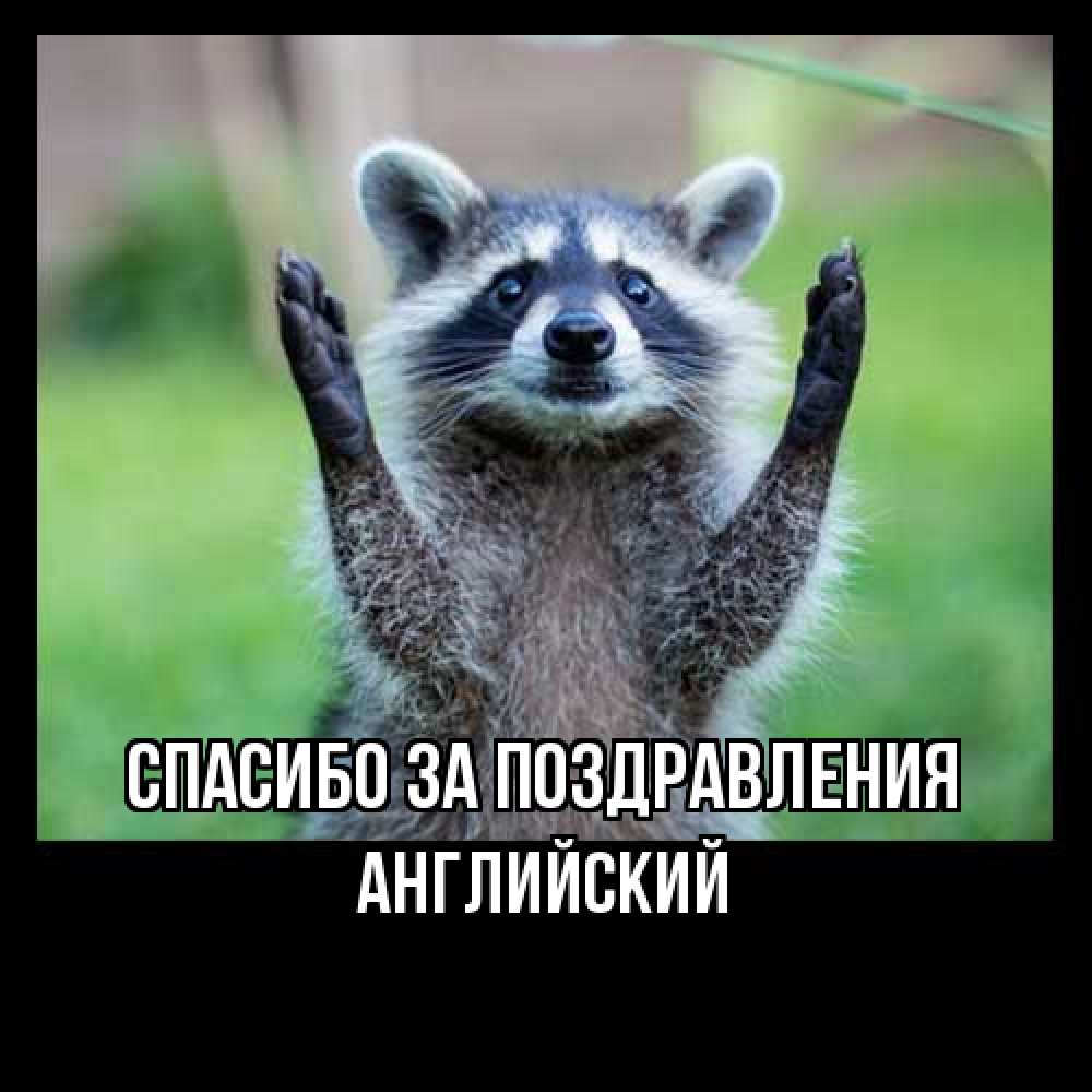 Открытка  с именем. Английский, Спасибо за поздравления  