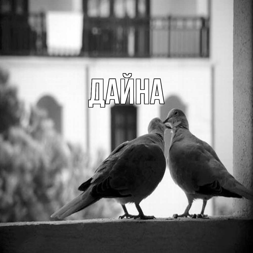 Открытка  с именем. Дайна, Главная  