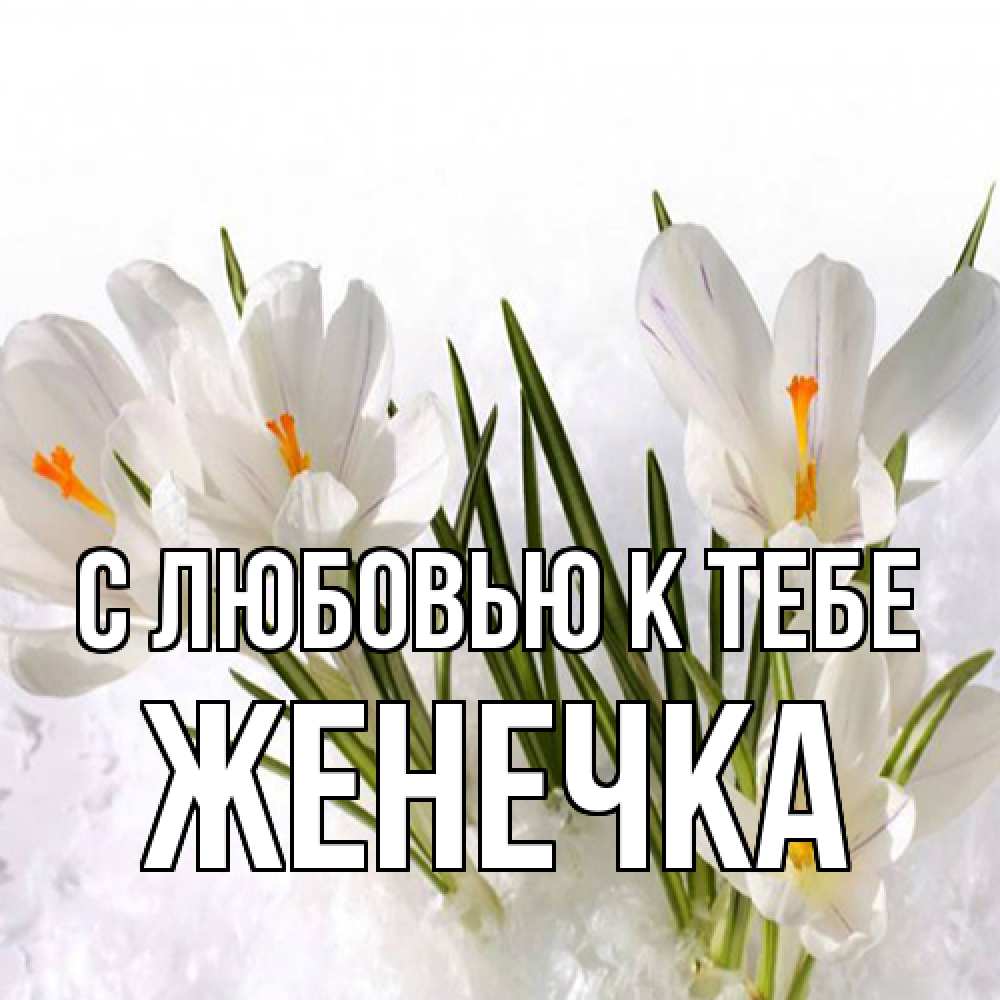Открытка  с именем. Женечка, С любовью к тебе  