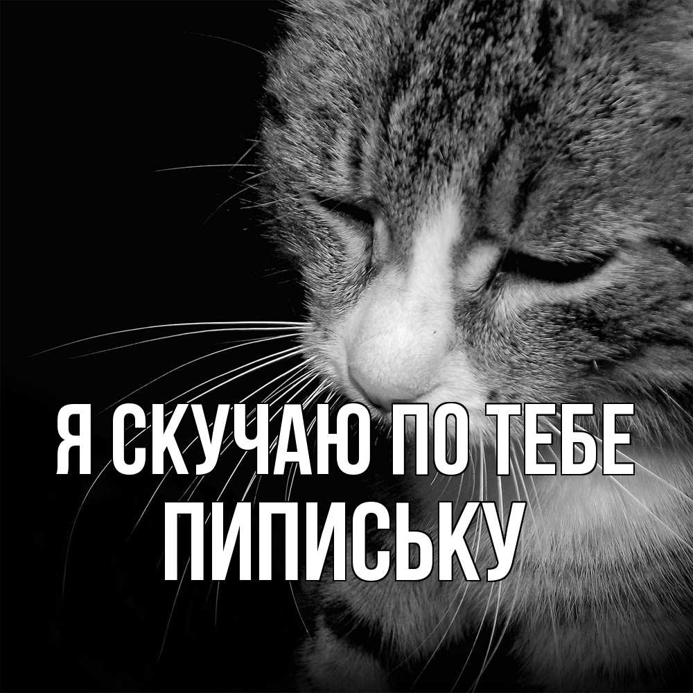 Открытка  с именем. Пипиську, Я скучаю по тебе  