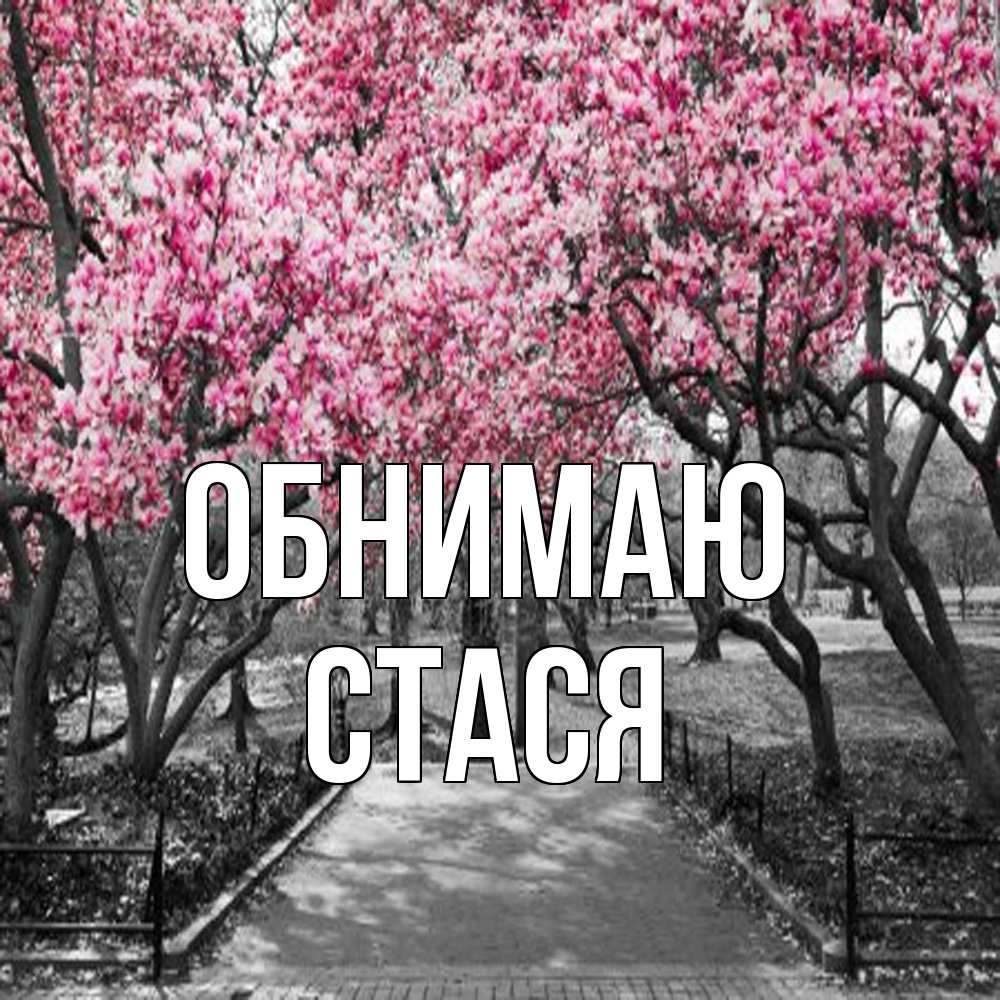 Открытка  с именем. Стася, Обнимаю  