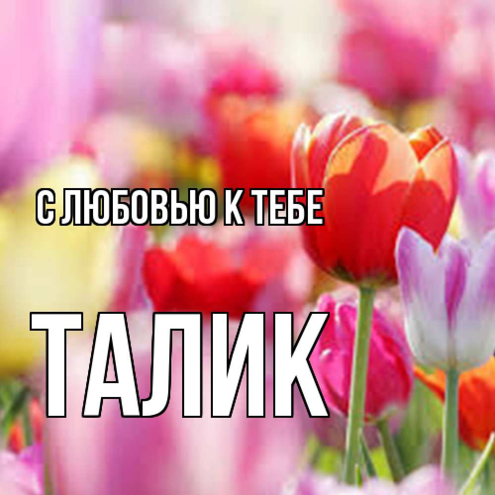 Открытка  с именем. Талик, С любовью к тебе  