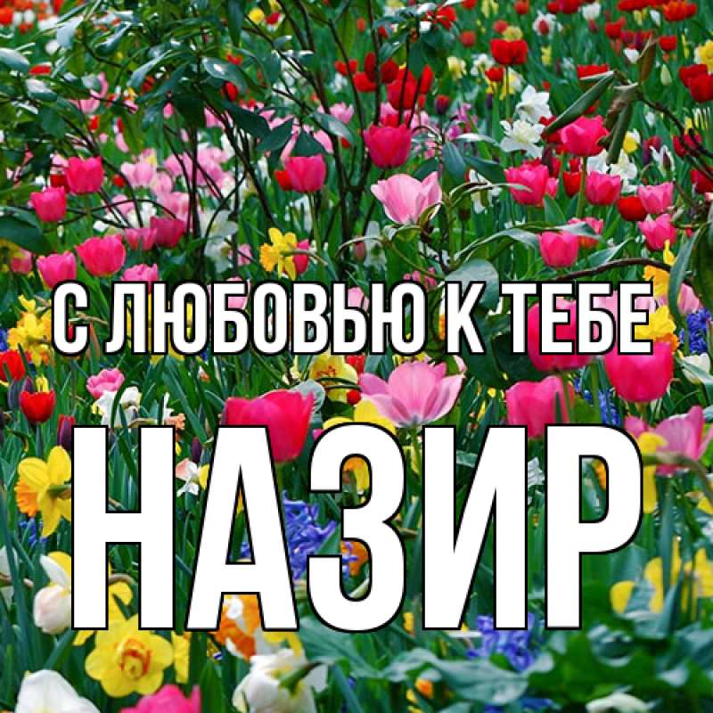 Картинка С любовью к тебе, Назир