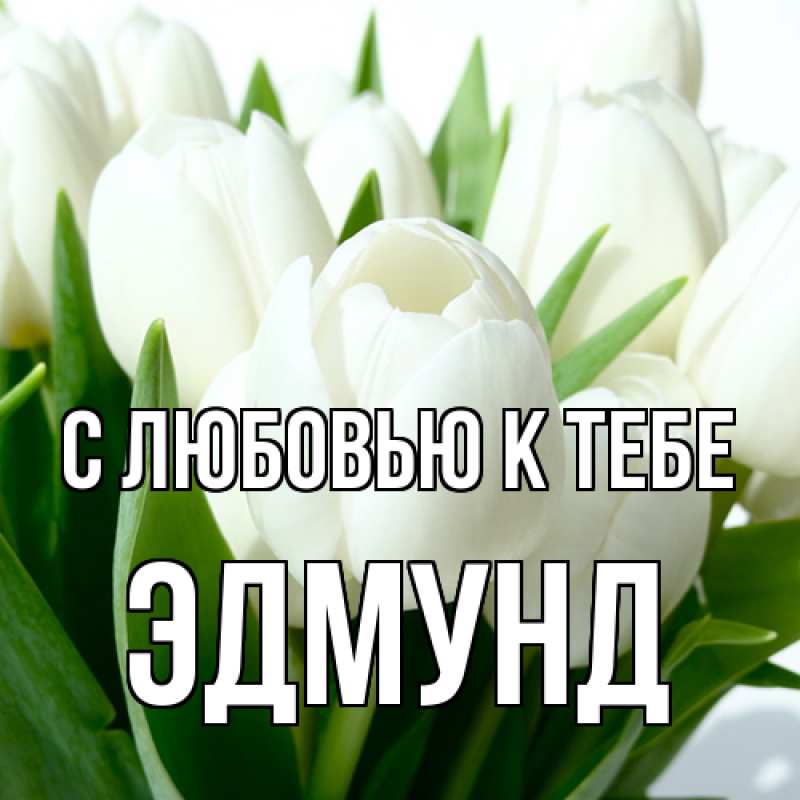 Картинка С любовью к тебе, Эдмунд