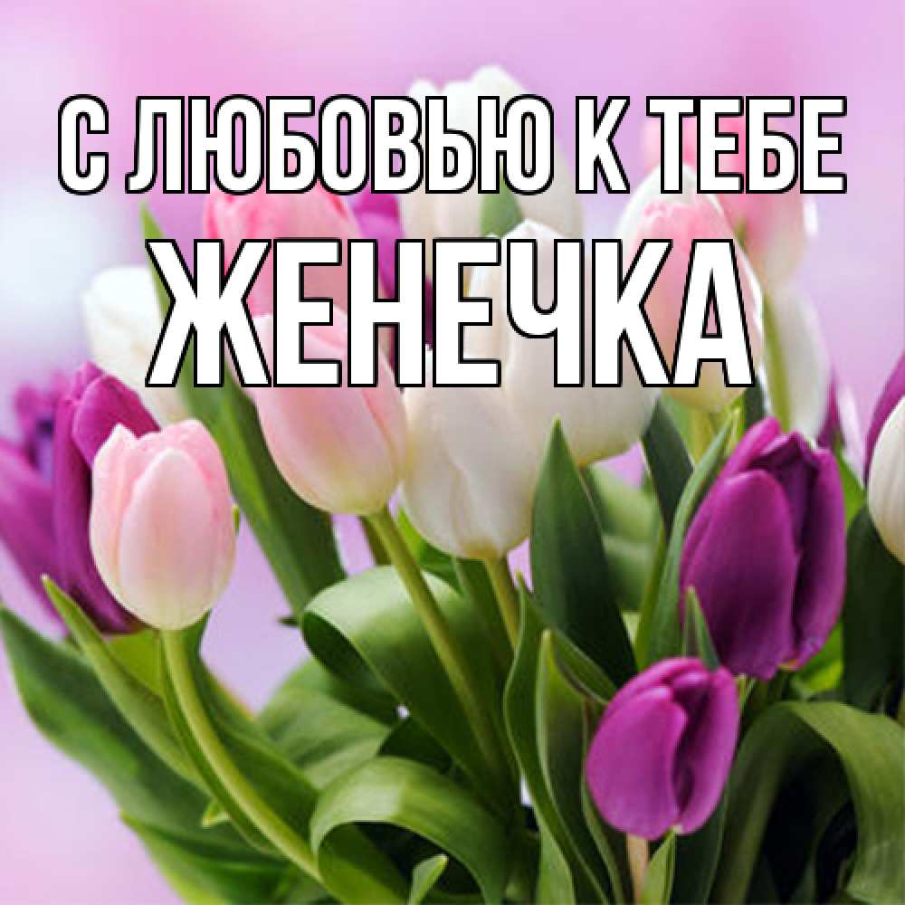 Открытка  с именем. Женечка, С любовью к тебе  