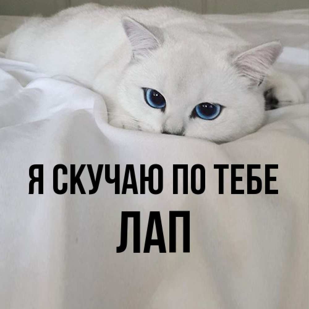 Открытка  с именем. Лап, Я скучаю по тебе  