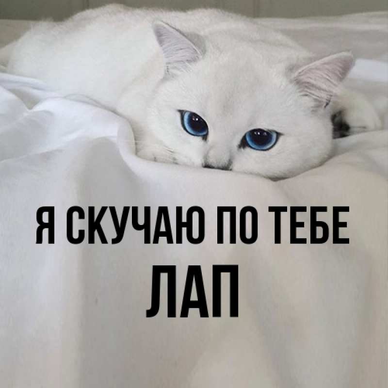 Картинка Я скучаю по тебе, Лап