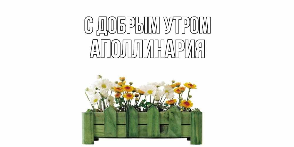 Открытка  с именем. Аполлинария, С добрым утром  