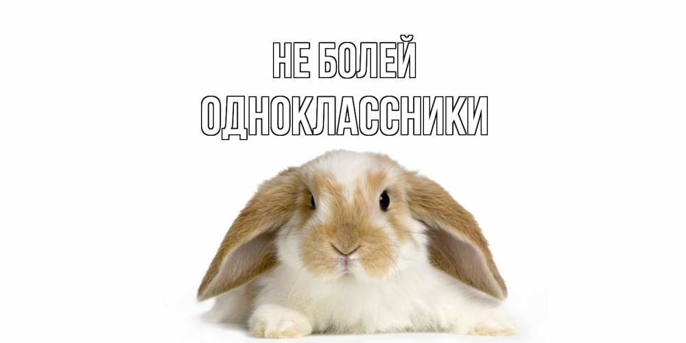 Открытка  с именем. Одноклассники, Не болей  