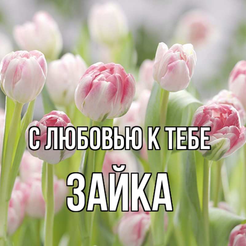 Картинка С любовью к тебе, Зайка