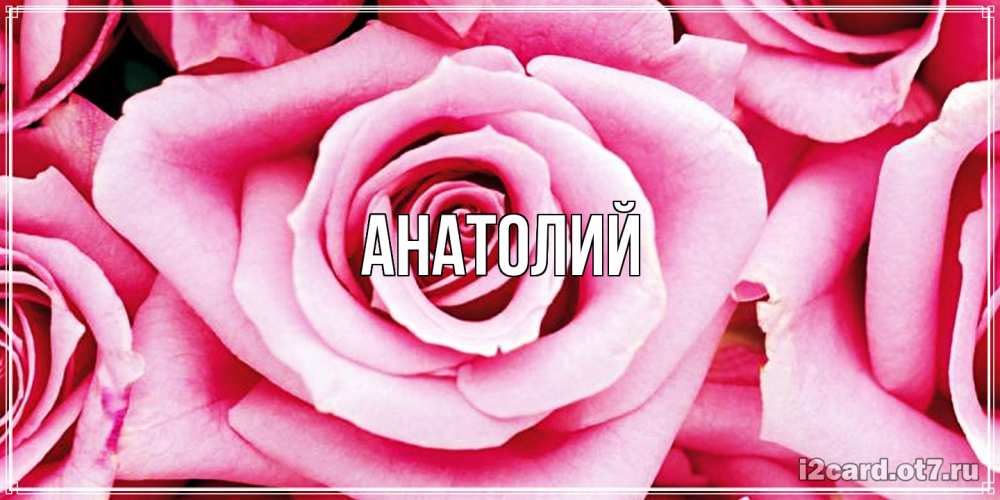 Открытка  с именем. Анатолий, Главная  