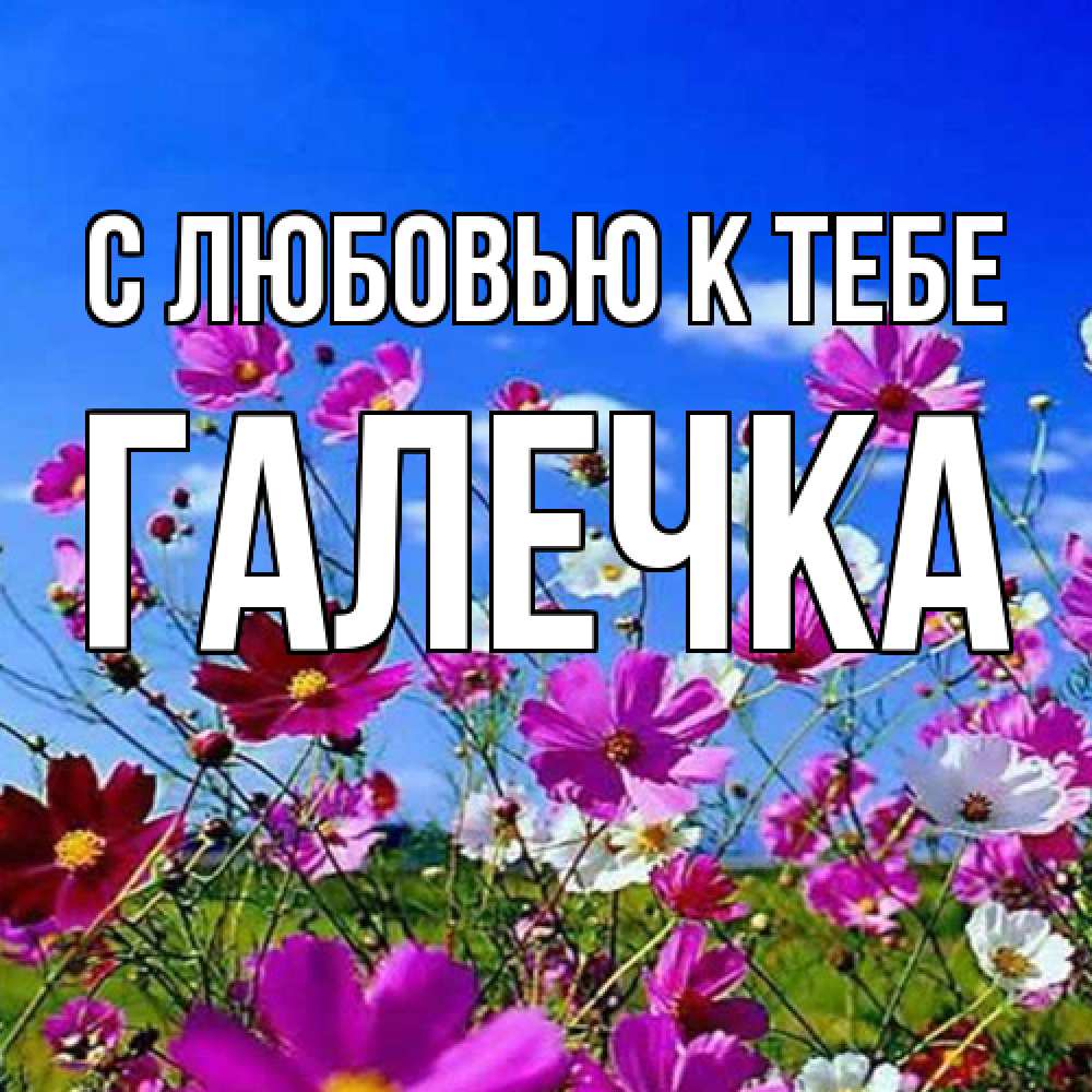 Открытка  с именем. Галечка, С любовью к тебе  