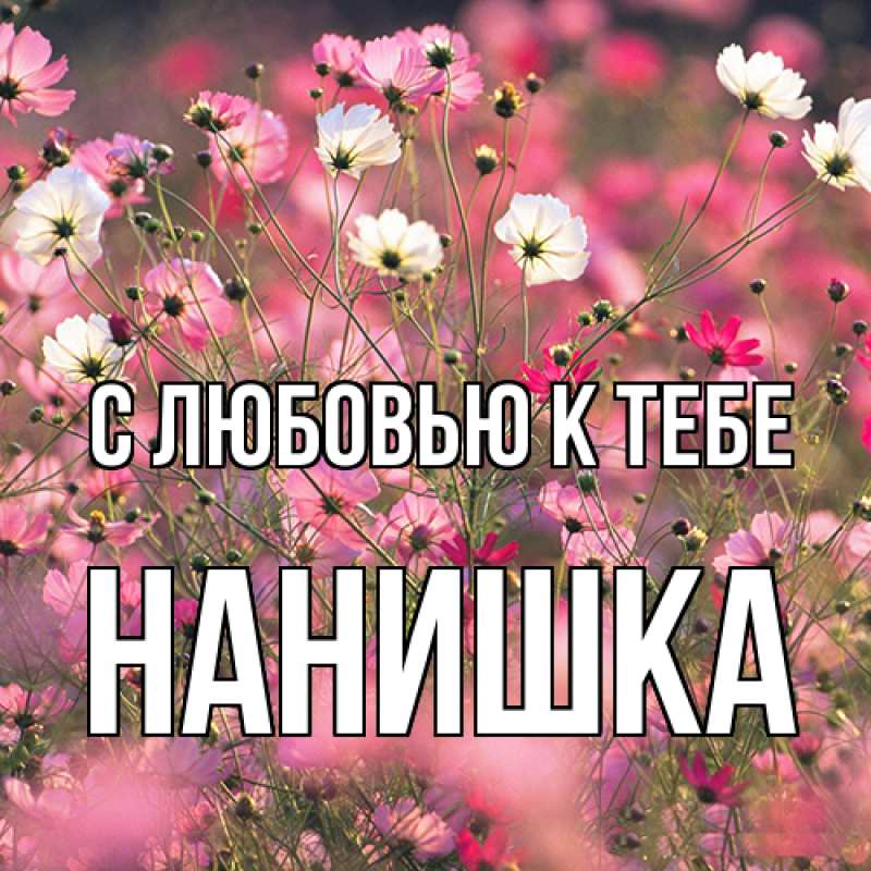 Картинка С любовью к тебе, Нанишка