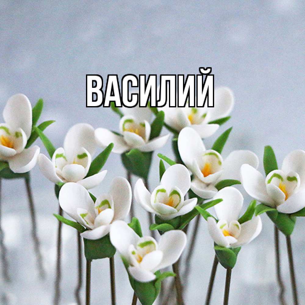 Открытка  с именем. Василий, Главная  