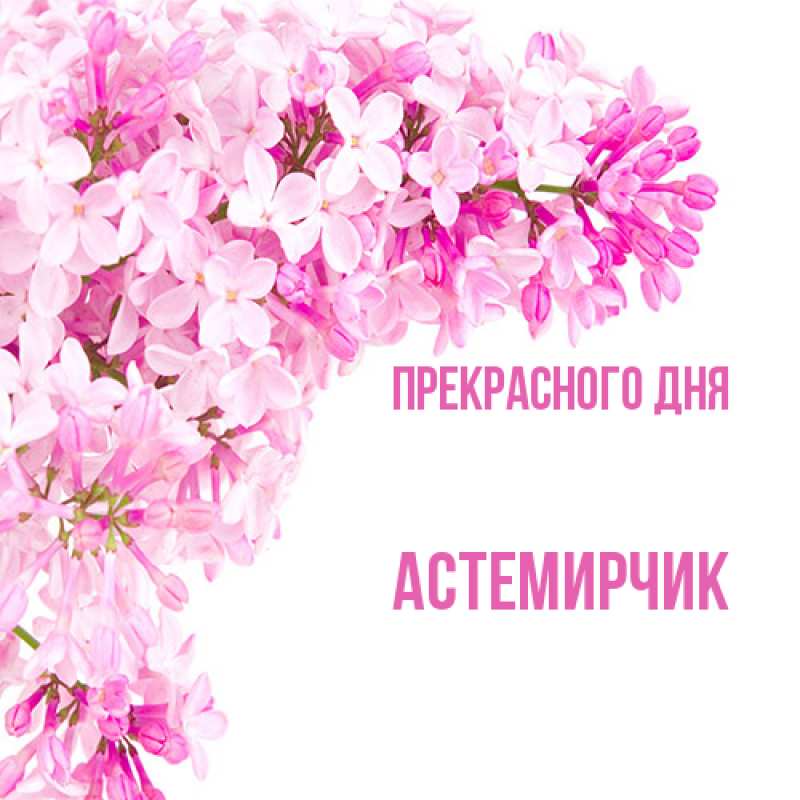 Картинка Прекрасного дня, Астемирчик