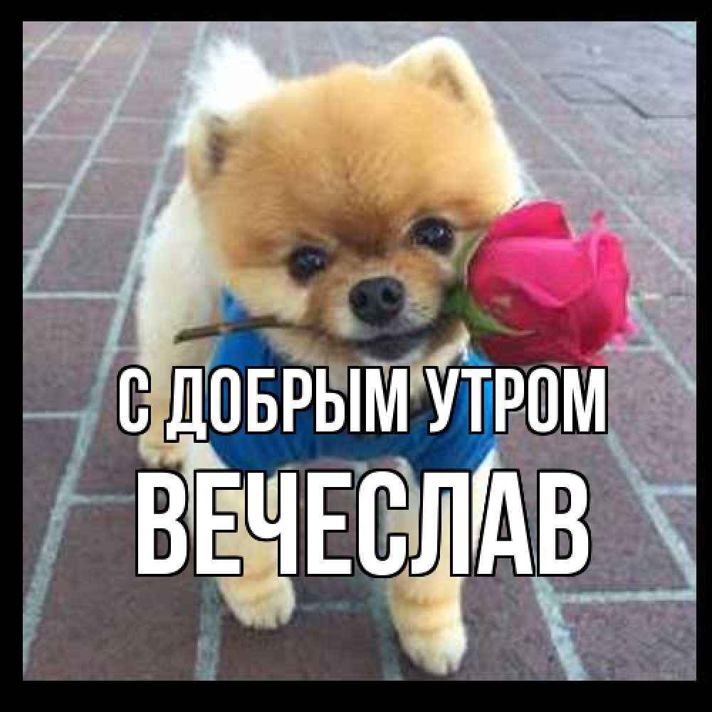 Открытка  с именем. Вечеслав, С добрым утром  