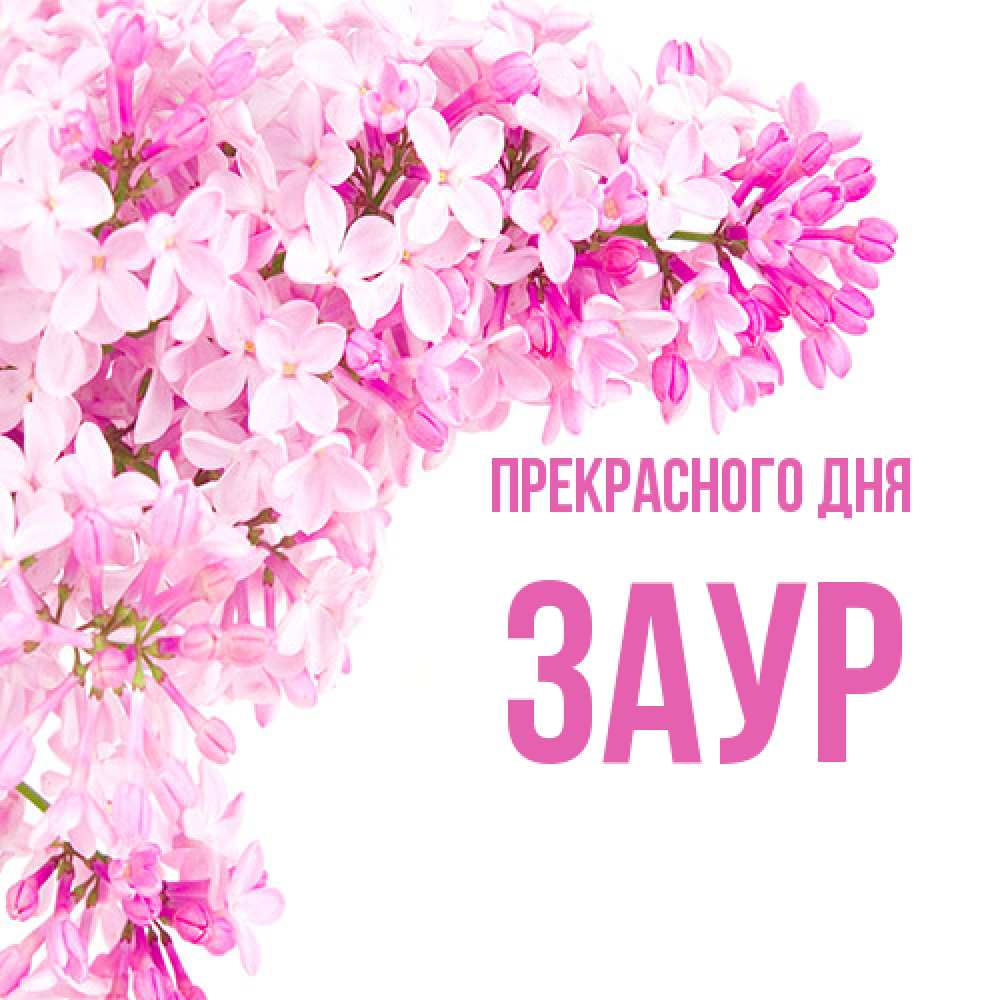 Открытка  с именем. Заур, Прекрасного дня  