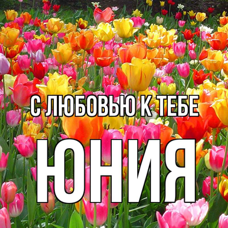 Картинка С любовью к тебе, Юния