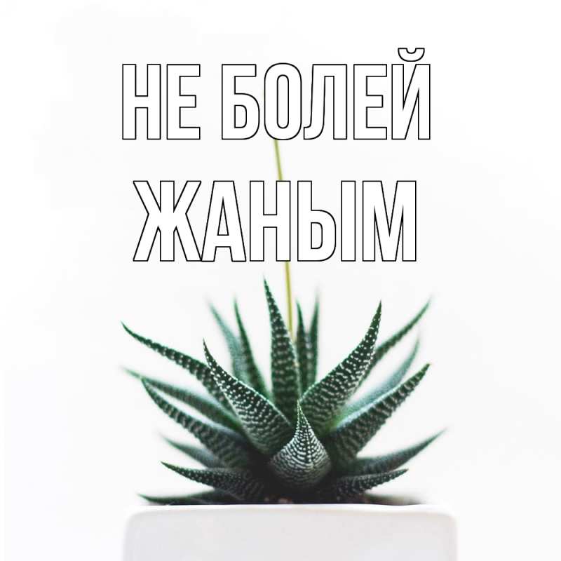 Картинка Не болей, Жаным