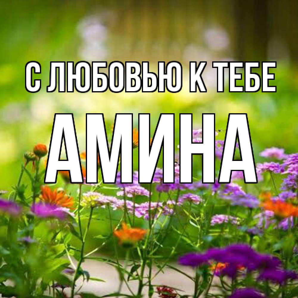 Открытка  с именем. Амина, С любовью к тебе  