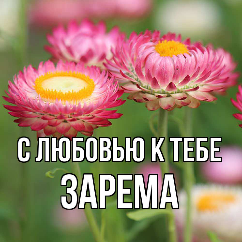 Открытка  с именем. Зарема, С любовью к тебе  