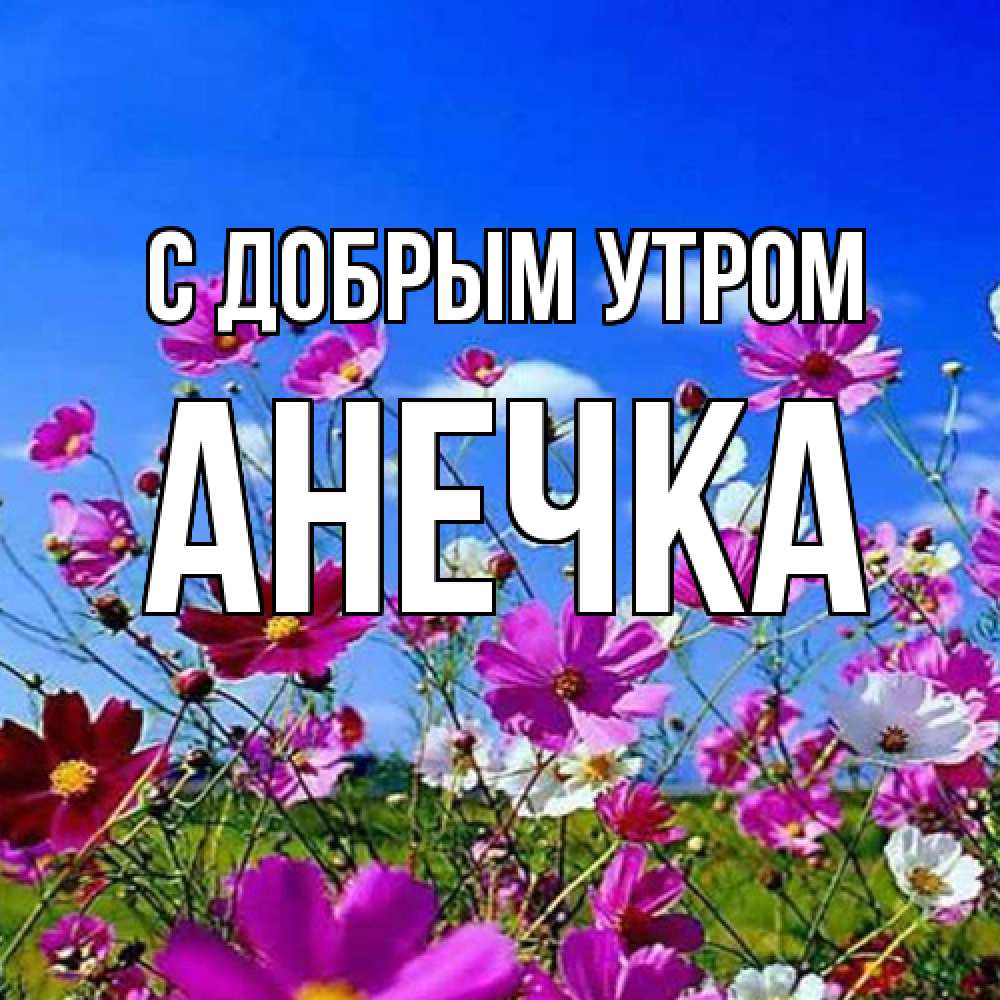 Открытка  с именем. АНЕЧКА, С добрым утром  