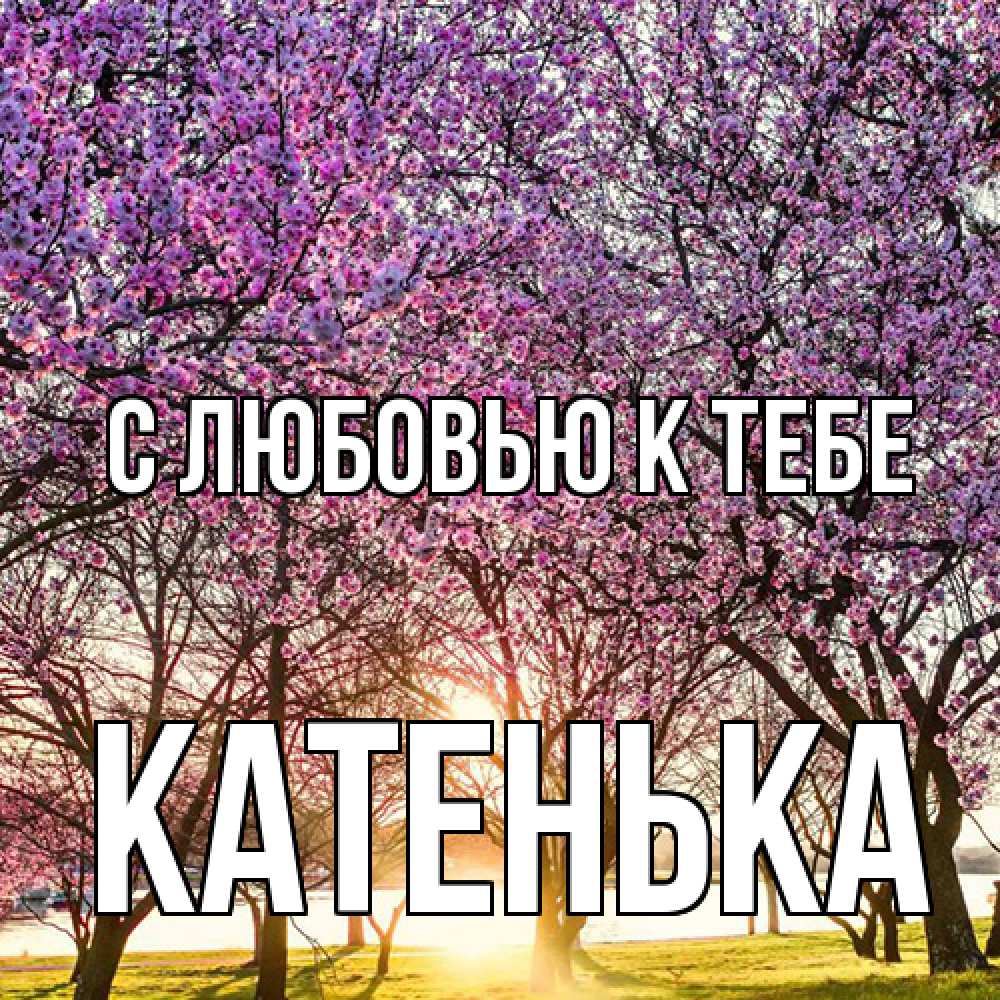 Открытка  с именем. Катенька, С любовью к тебе  