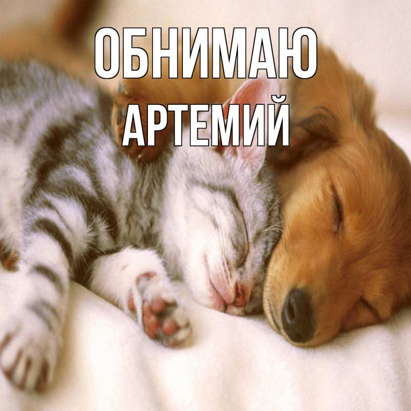 Картинка Обнимаю, Артемий