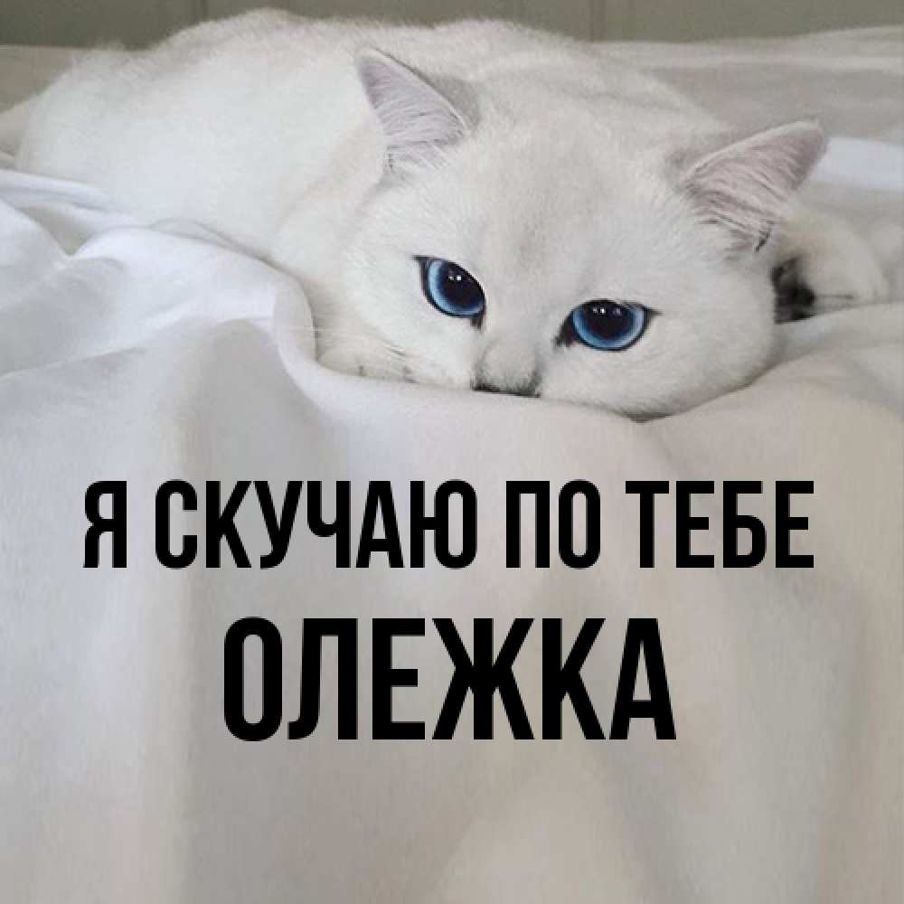 Открытка  с именем. олежка, Я скучаю по тебе  