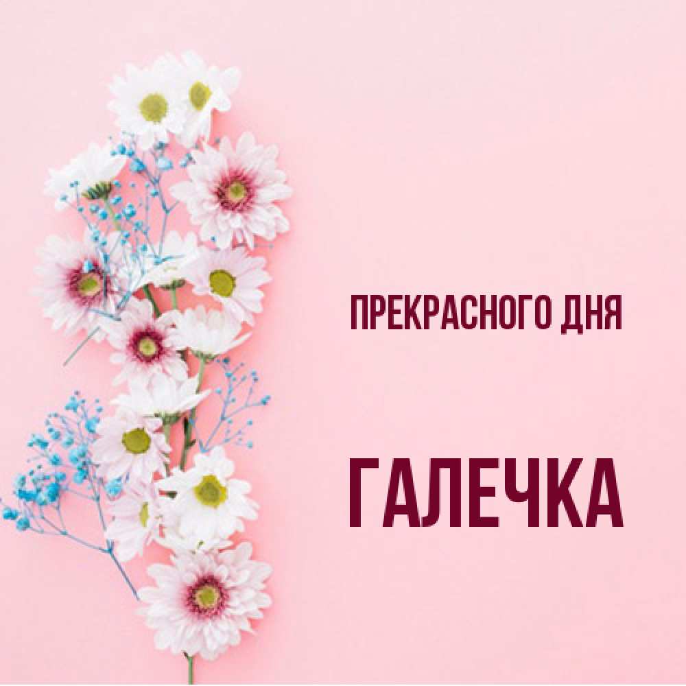 Открытка  с именем. Галечка, Прекрасного дня  