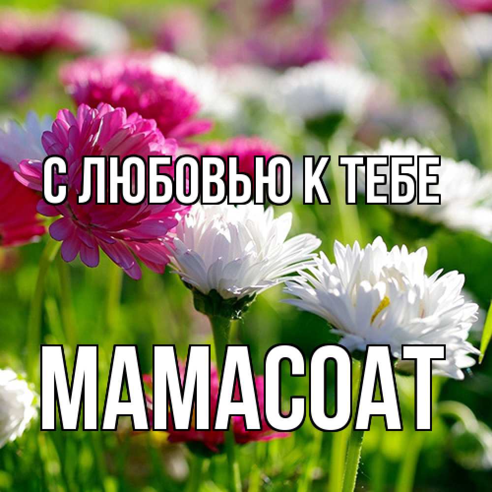 Открытка  с именем. Мамасоат, С любовью к тебе  