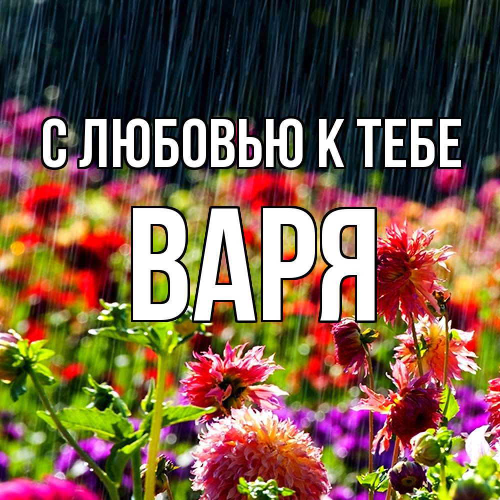 Открытка  с именем. варя, С любовью к тебе  