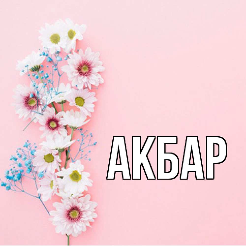 Открытка  с именем. Акбар, Главная  