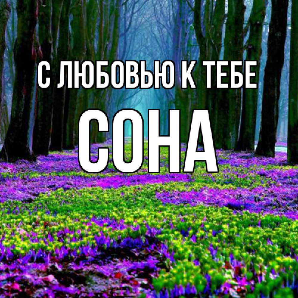 Открытка  с именем. СОНА, С любовью к тебе  