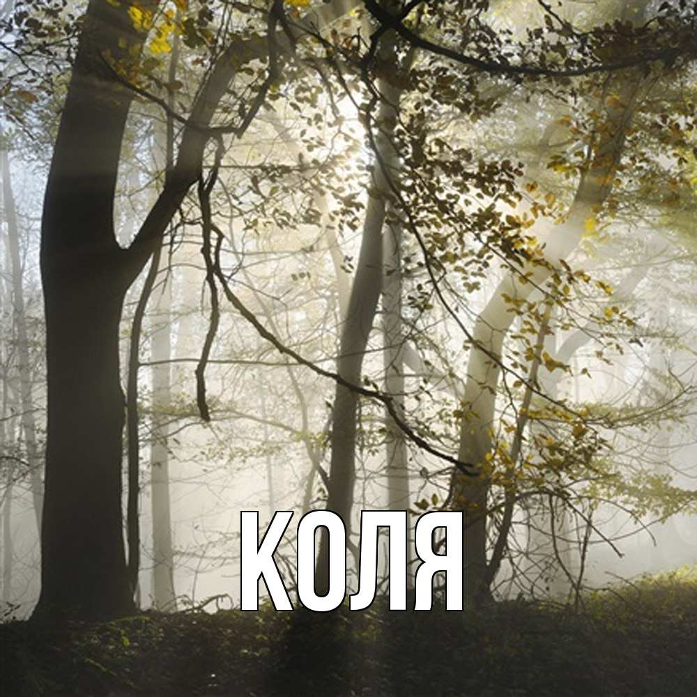 Открытка  с именем. коля, Главная  