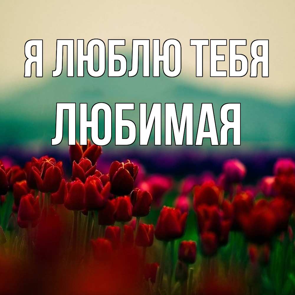 Открытка  с именем. Любимая, Я люблю тебя  