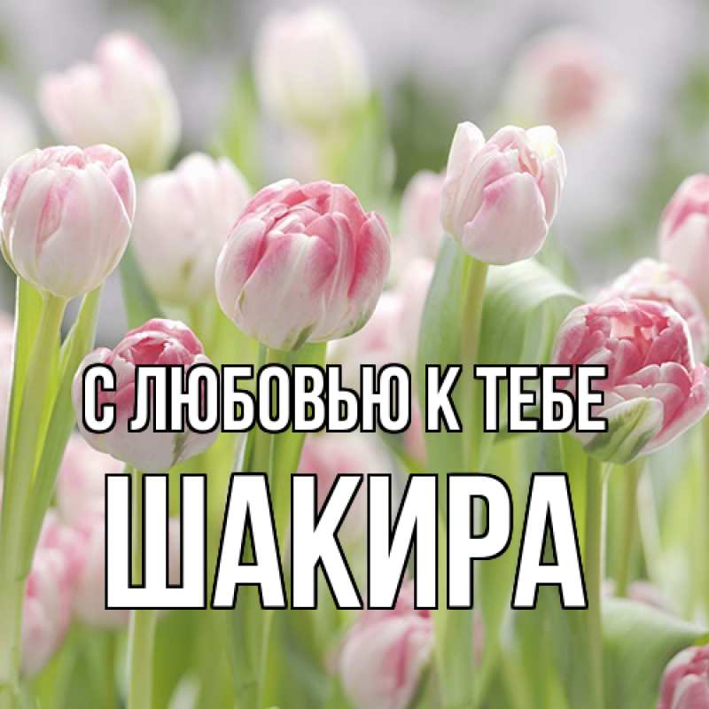 Картинка С любовью к тебе, Шакира