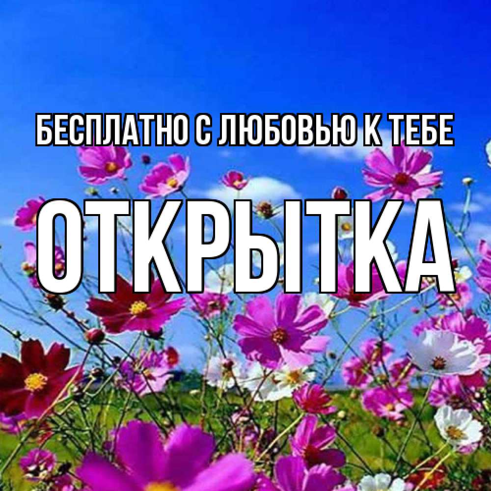 Открытка  с именем. открытка, С любовью к тебе  