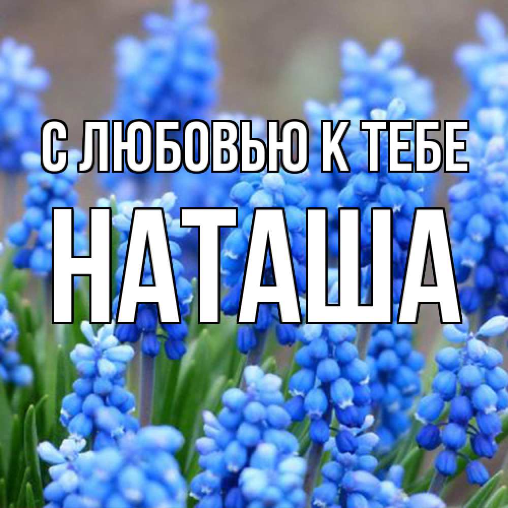 Открытка  с именем. Наташа, С любовью к тебе  