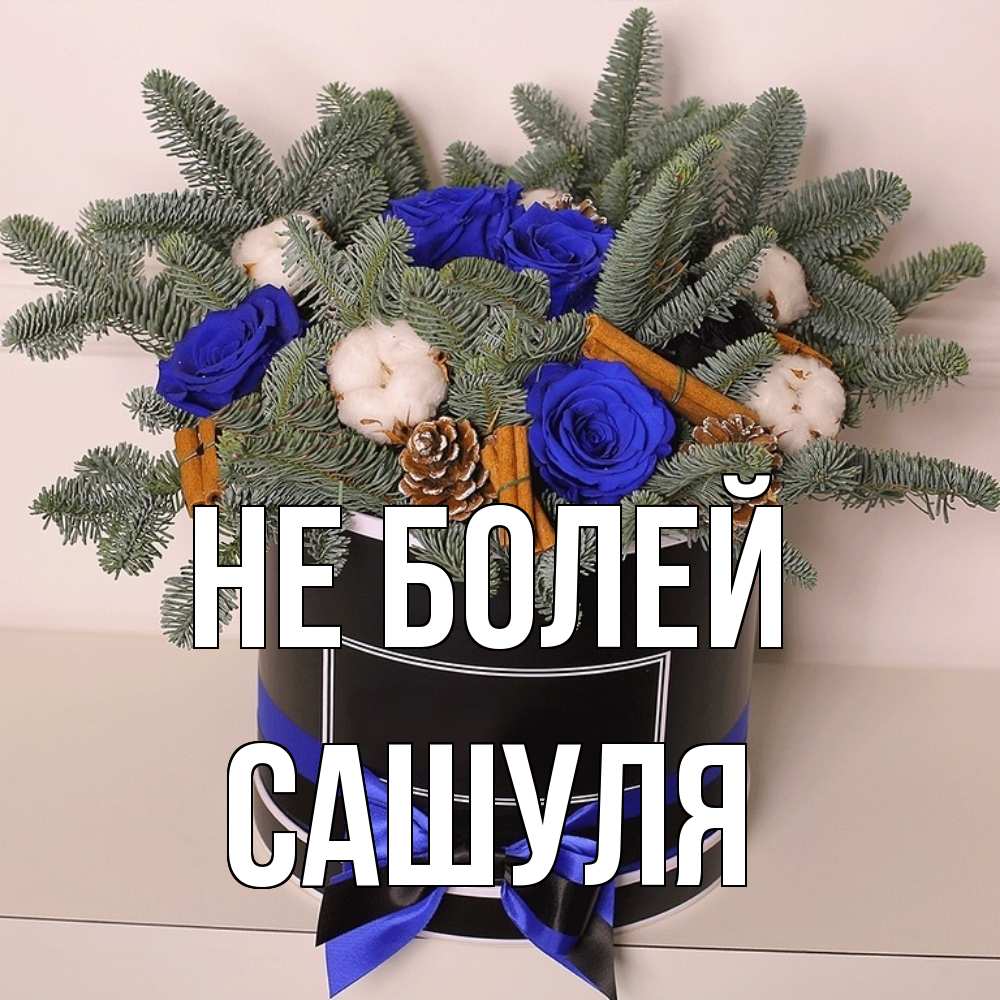Открытка  с именем. Сашуля, Не болей  