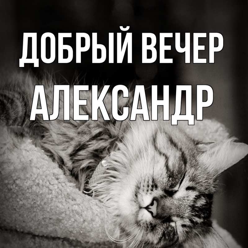 Картинка Добрый вечер, Александр